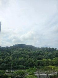 The Skywoods (D23), Condominium #456304221